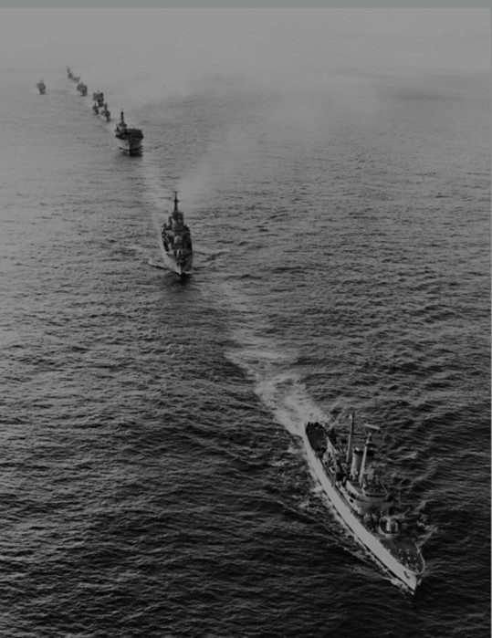 Aerial View showing the ships of the British Task Force