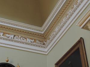 Salon Cornice 