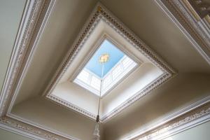 Salon Ceiling